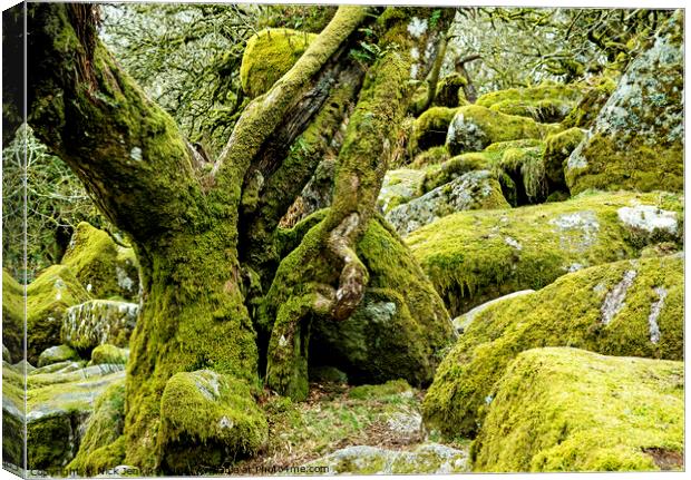 Wistmans Wood on Dartmoor near Two Bridges Canvas Print by Nick Jenkins