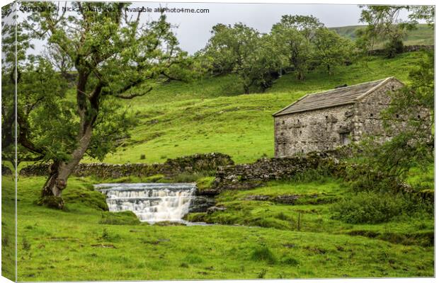 A Dales landscape at Cray in the Yorkshire Dales  Canvas Print by Nick Jenkins