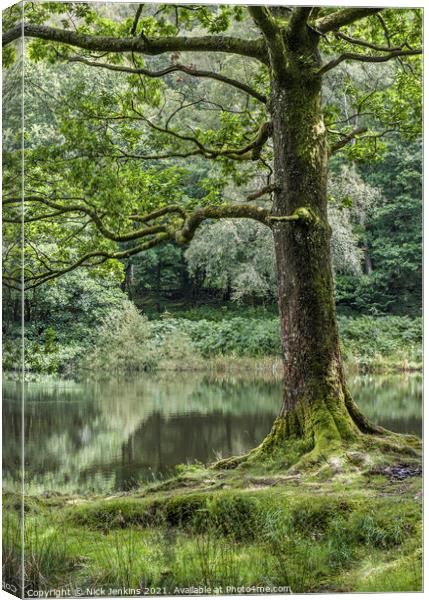 A walk around Yew Tree Tarn in the Lake District  Canvas Print by Nick Jenkins