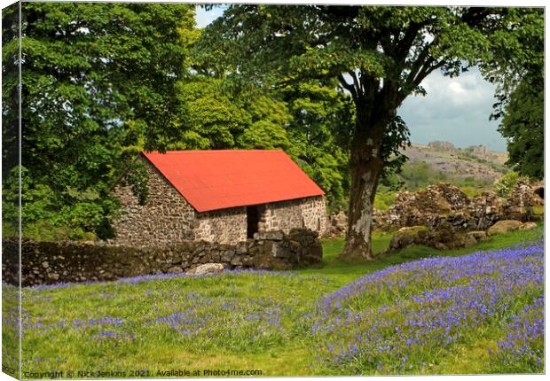 Emsworthy Bluebell Fields Dartmoor National Park Canvas Print by Nick Jenkins