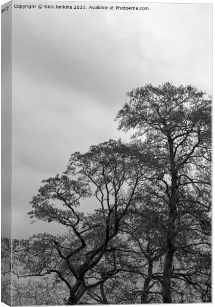 Winter Sky Winter Trees Woodland Monochrome Canvas Print by Nick Jenkins