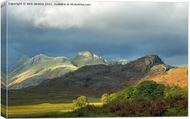 The Langdale Pikes from Blea Tarn Lake District Canvas Print by Nick Jenkins