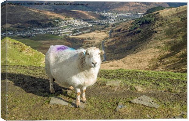 Rhondda would not be Rhondda without sheep Canvas Print by Nick Jenkins