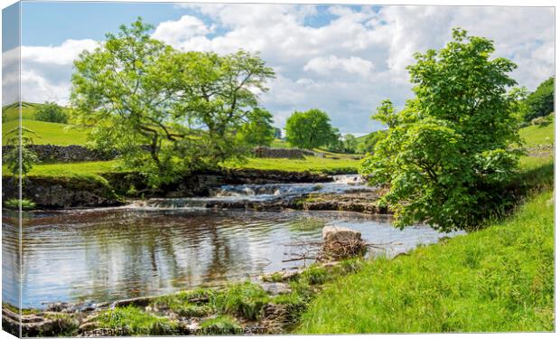 Upper Wharfedale River Wharfe Yorkshire Dales Canvas Print by Nick Jenkins