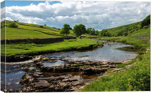 Upper Wharfedale and the River Wharfe Yorkshire  Canvas Print by Nick Jenkins