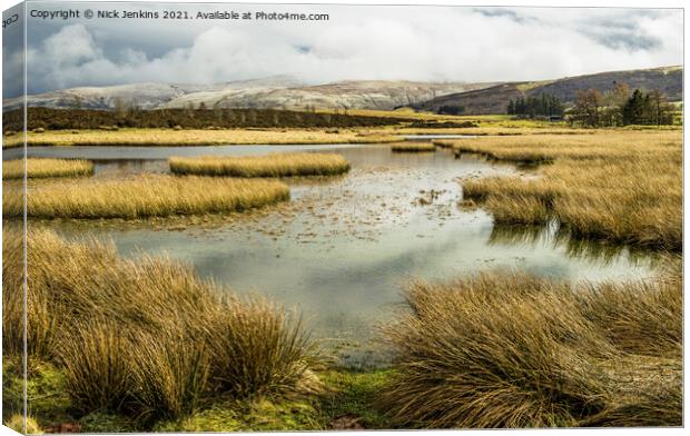 Looking across Mynydd Illtyd Pond Brecon Beacons Canvas Print by Nick Jenkins