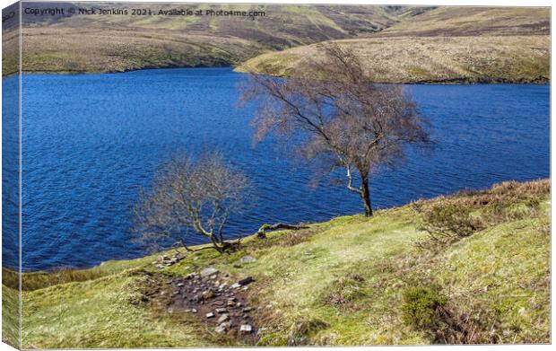 Trees at the Grwyne Fawr Reservoir Black Mountains Canvas Print by Nick Jenkins