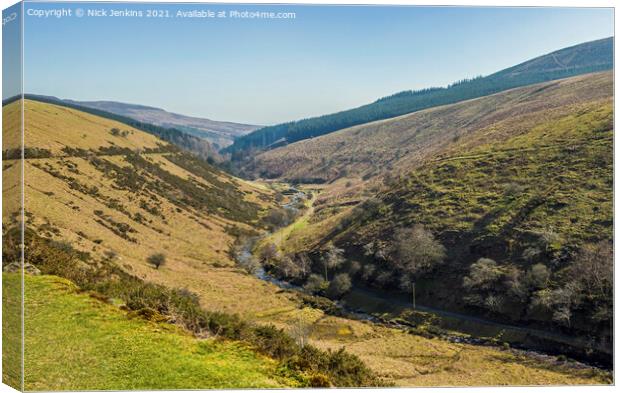 The Upper Grwyne Fawr Valley Black Mountains  Canvas Print by Nick Jenkins