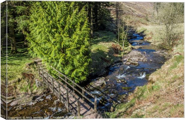 The Grwyne Fechan River in the Black Mountains  Wales Canvas Print by Nick Jenkins