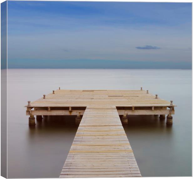 Tranquility Canvas Print by Eric Pearce AWPF