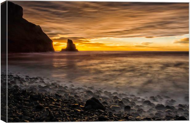 Talisker Bay Canvas Print by Eric Pearce AWPF