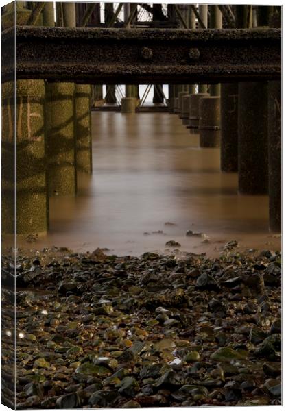 Under the Pier Canvas Print by Eric Pearce AWPF