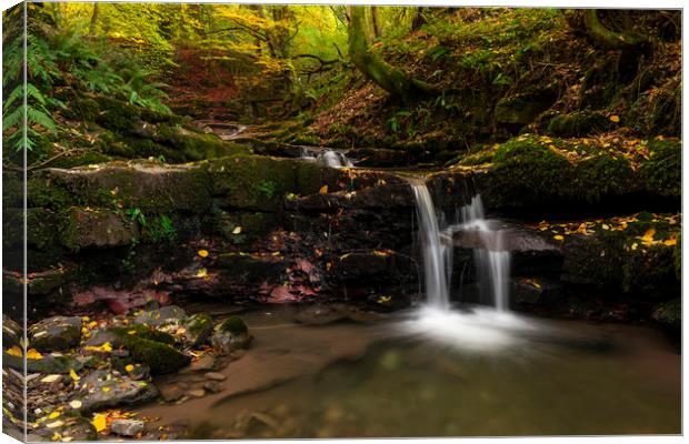 Clydach Gorge Falls Canvas Print by Eric Pearce AWPF