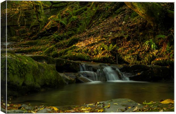 Sunlit Falls Canvas Print by Eric Pearce AWPF