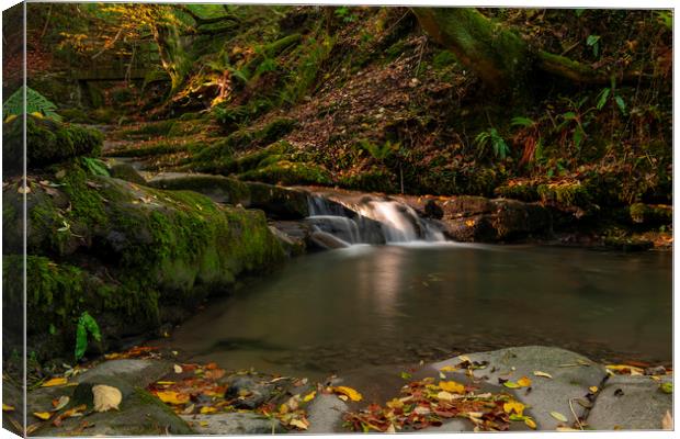 Clydachs Sunlit waterfalls in autumn Canvas Print by Eric Pearce AWPF