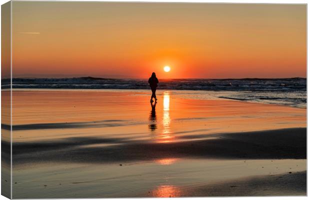 Watching the setting sun Canvas Print by Eric Pearce AWPF