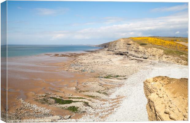 Dunraven Bay Southerndown Canvas Print by Heidi Stewart