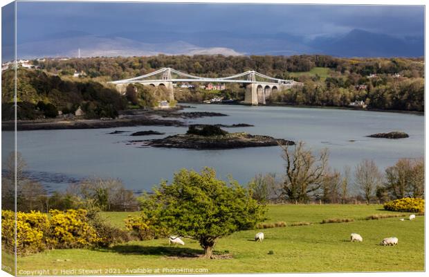 Menai Suspension Bridge Canvas Print by Heidi Stewart