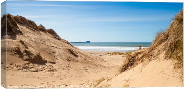 Through the Dunes Canvas Print by Heidi Stewart