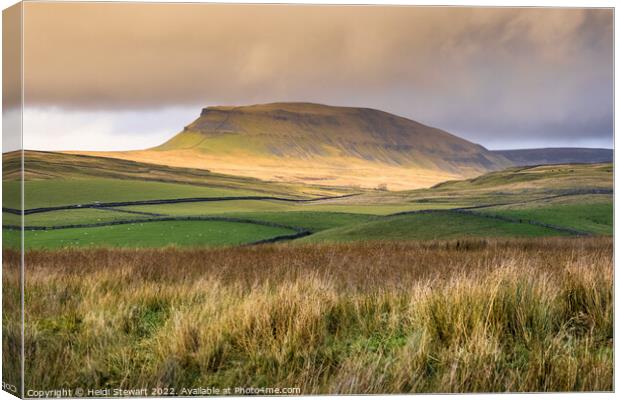 Pen y ghent Yorkshire Dales Canvas Print by Heidi Stewart