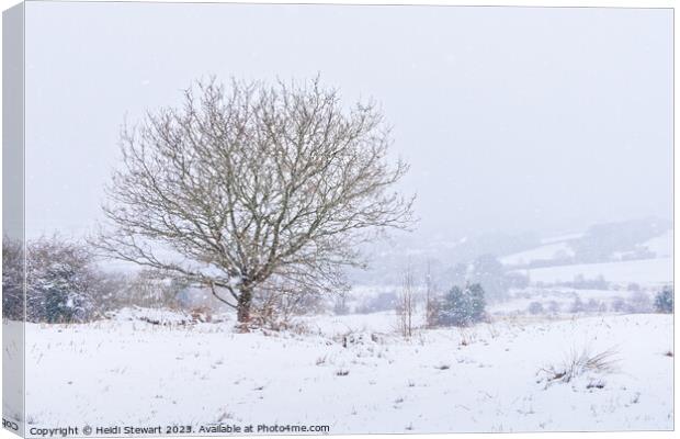 Heavy Snow on Llantrisant Common Canvas Print by Heidi Stewart