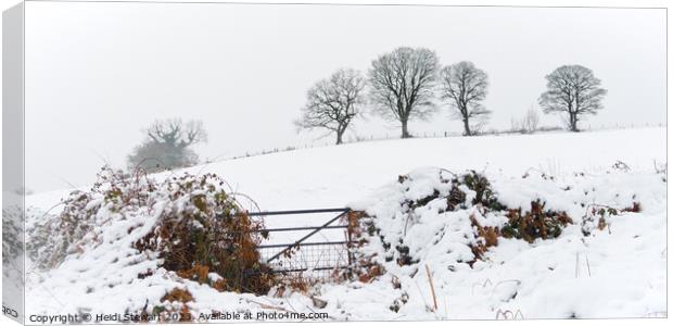 Tranquil Winter Wonderland Canvas Print by Heidi Stewart