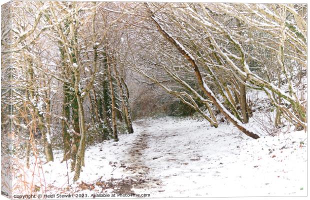 Snowy Woodland Path Canvas Print by Heidi Stewart