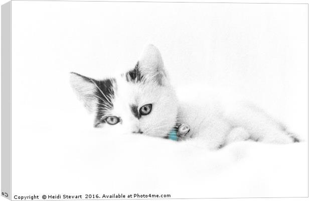 Kitten Cuteness Canvas Print by Heidi Stewart