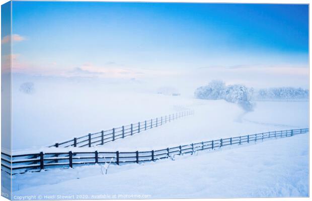 Fencelines in the Snow Canvas Print by Heidi Stewart