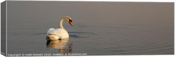 Swan Lake Canvas Print by Heidi Stewart