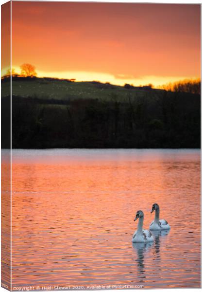 Love at the Lake Canvas Print by Heidi Stewart