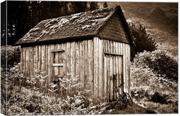 Old Shed and Bicycle, Scotland Canvas Print by Heidi Stewart