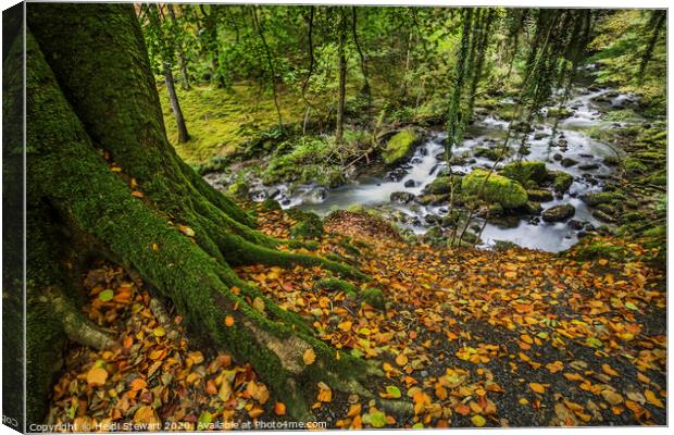 The Torrent Walk in Autumn Canvas Print by Heidi Stewart