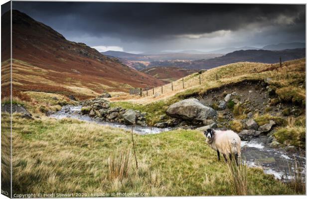 Borrowdale Valley in the Lake District Canvas Print by Heidi Stewart