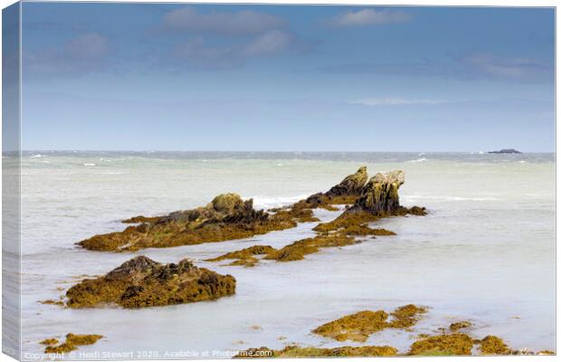 Rocks at Bull Bay, Anglesey Canvas Print by Heidi Stewart