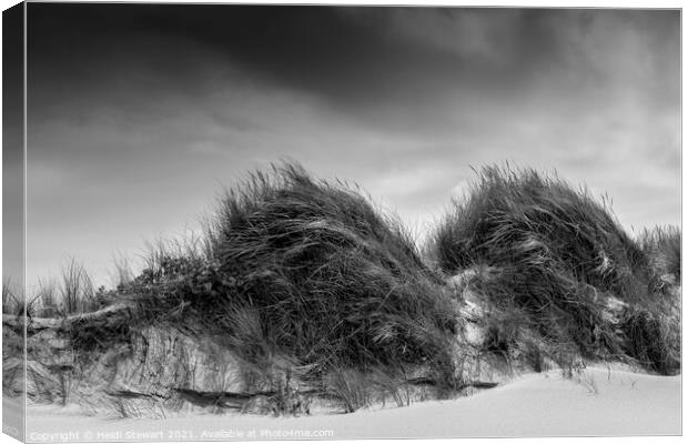 Sand Dunes at Kenfig National Nature Reserve in So Canvas Print by Heidi Stewart