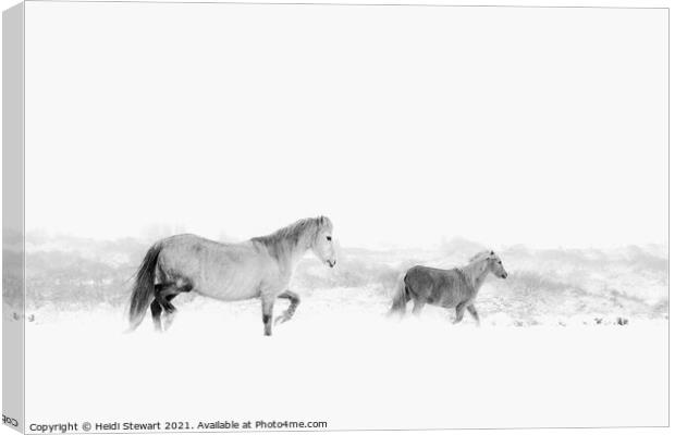 Horses in the Snow Canvas Print by Heidi Stewart