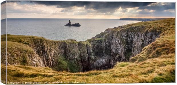 Church Rock  Canvas Print by Heidi Stewart