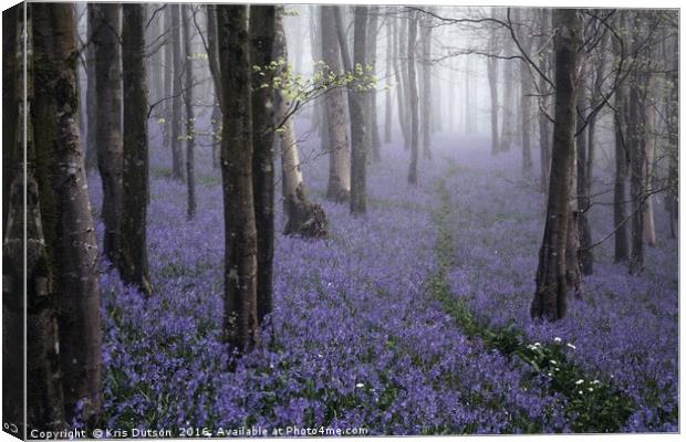 Bluebells in the Mist Canvas Print by Kris Dutson