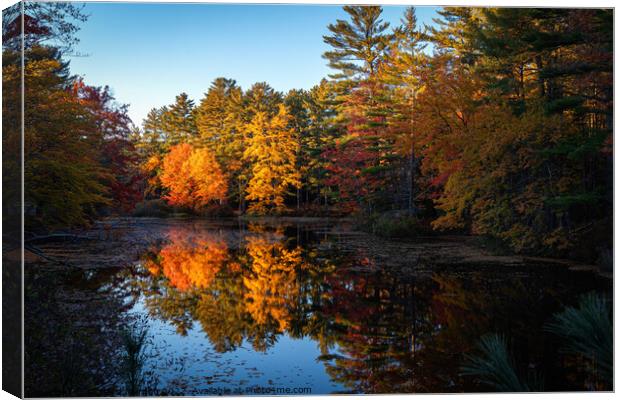 Last of the sunset Canvas Print by Richard Morgan