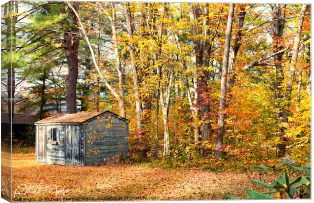 Old shack in the fall in New Hampshire. Canvas Print by Richard Morgan