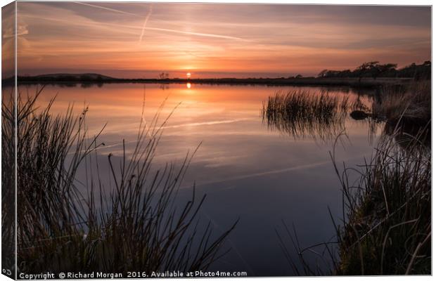 Broadpool, Gower. Canvas Print by Richard Morgan