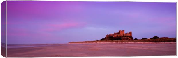 Bamburgh Castle and beach Canvas Print by Anthony Simpson