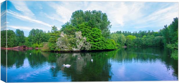 Middle Pool  Canvas Print by simon alun hark