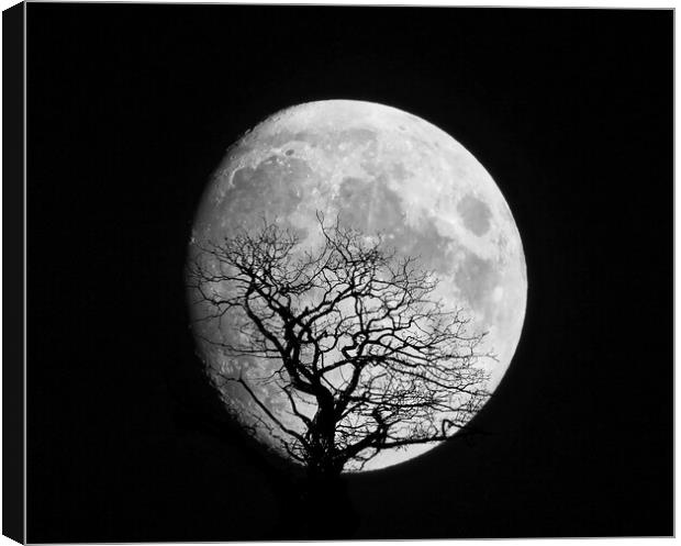 Moon Shot Silhouette Canvas Print by simon alun hark