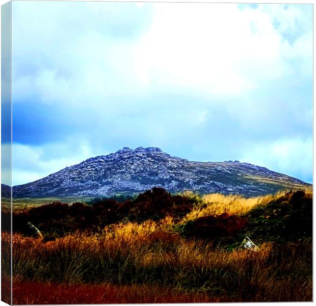 Rough Tor from King Arthur's Hall, Bodmin Moor Canvas Print by Alexandra Stevens