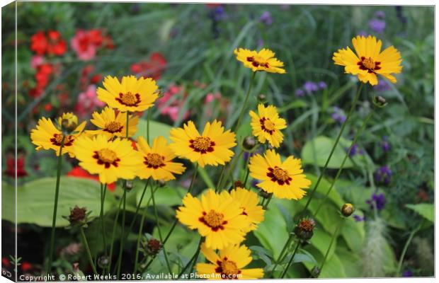 Bright Flower Bed Canvas Print by Robert Weeks