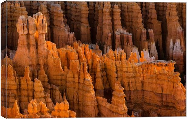 Hoodoos Bryce Canyon Canvas Print by Matt Johnston