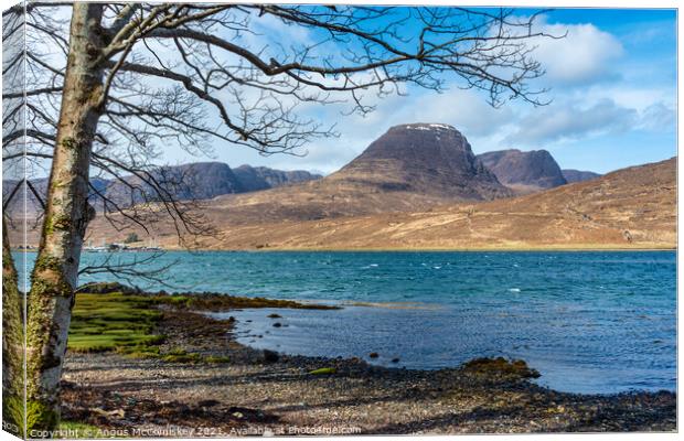 View across Loch Kishorn to Beinn Bhan Canvas Print by Angus McComiskey