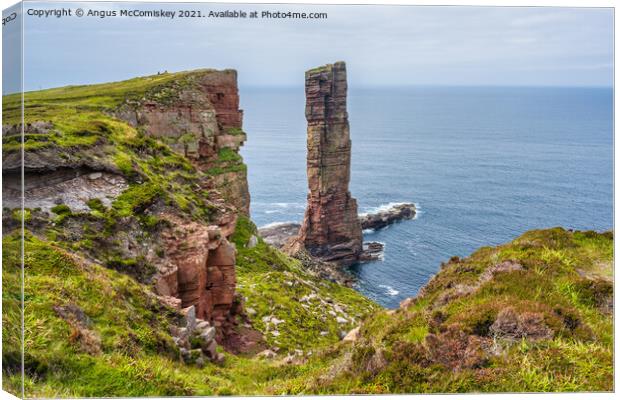 Old Man of Hoy, Orkney, Scotland Canvas Print by Angus McComiskey